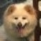 きー