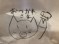 ひよこ