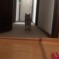 ともみん
