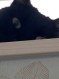 ゆきち