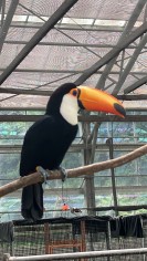 めぐる
