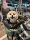 マーク