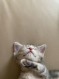 なお
