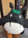 カライーカ