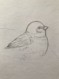 わかすけ
