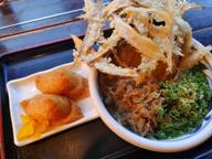 ごぼう天うどん 肉トッピング