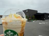 ホットハニー オリエンタルマンゴー&ティー フラペチーノ