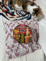 辛麺屋 輪監修 宮崎辛麺 ２５辛（お店の２５倍）