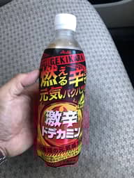 激辛ドデカミン