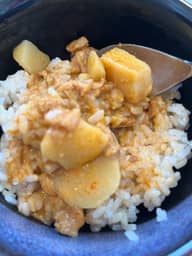 食べログ百名店   不思議香菜ツナパハ チキンスリランカカリー激辛