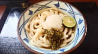 青唐辛おろしうどん 激辛
