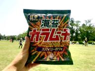 海苔カラムーチョ スパイシーのり味