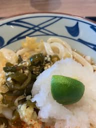 青唐辛おろしうどん 激辛