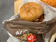 カリホクハッシュのフィレバーガー辛口