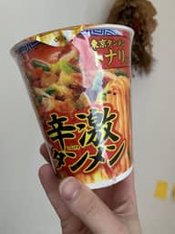 東京タンメントナリ