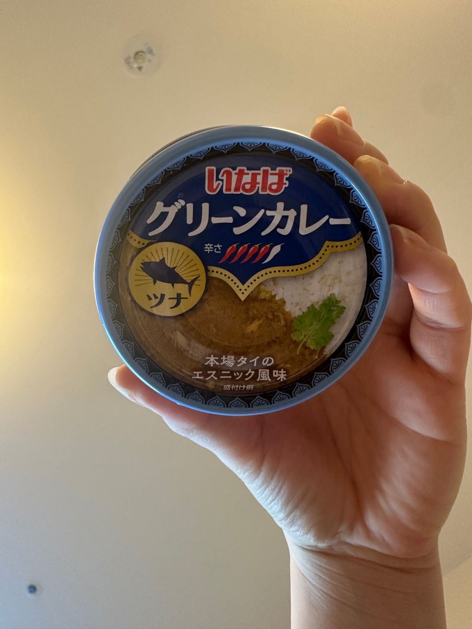 グリーンカレー 🌶️🌶️🌶️🌶️