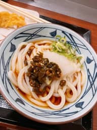 青唐辛おろしうどん 激辛