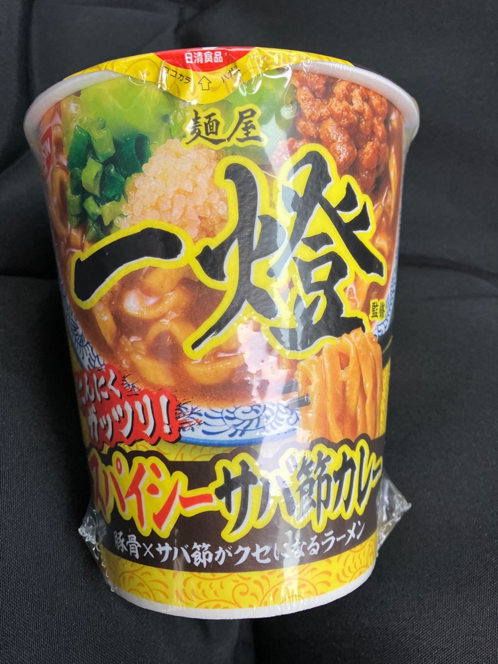 麺屋一燈 スパイシーサバ節カレー