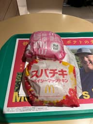 スパイシーチキンバーガー