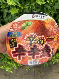 辛め 辛辛魚らーめん 辛辛レベル6.5くらい