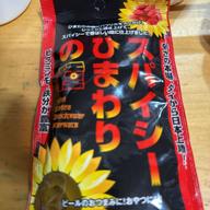 スパイシーひまわりの種