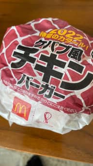 ケバブ風チキンバーガー