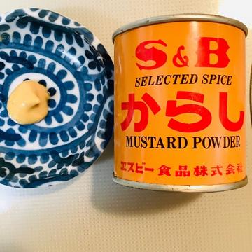 からし ２０g