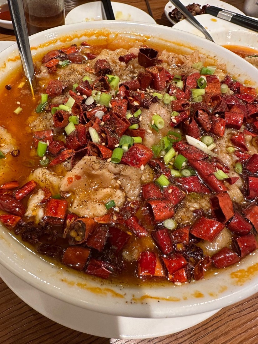 豚肉の四川風煮込み