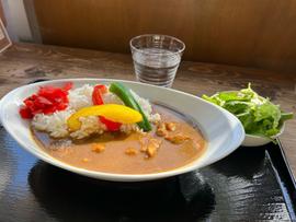 スパイシーチキンカレー