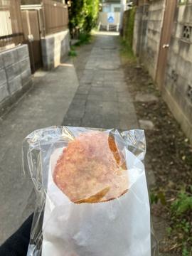 本格辛口カレーパン 辛口