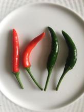 プリックチンダー