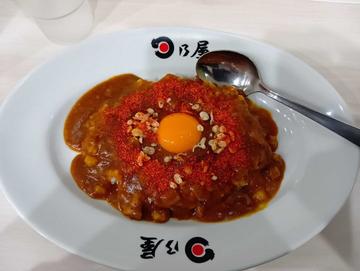 日乃屋カレー生玉