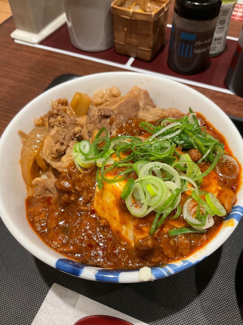 富士山豆腐の本格麻婆コンボ牛めし