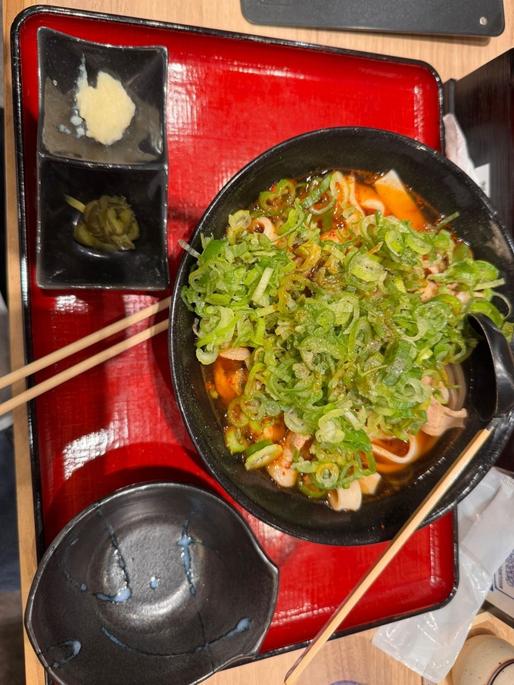 辛肉汁うどんねぎまみれ