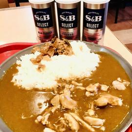 ゴロゴロチキンカレー 辛口