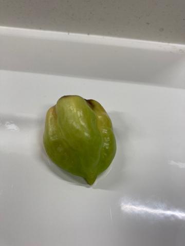 ハバネロ