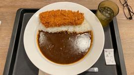 ロースカツカレー 欧風ソース 激辛4辛
