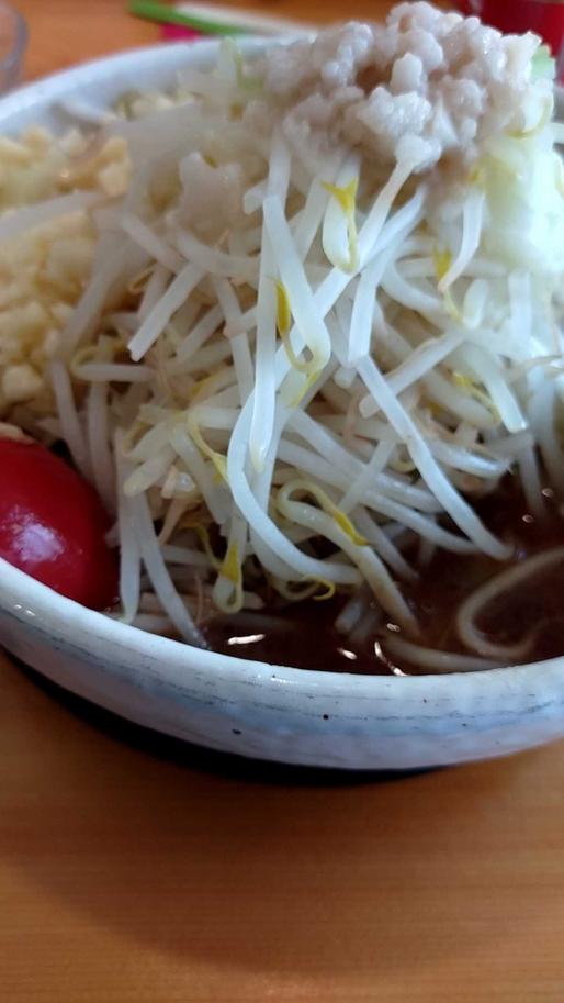 極太やまだ麺 なし