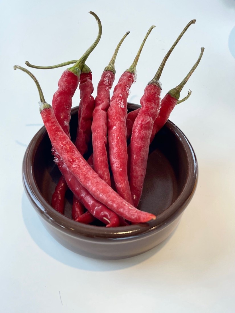 谷岡家の唐辛子🌶