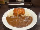 パリパリチキンカレー 15辛