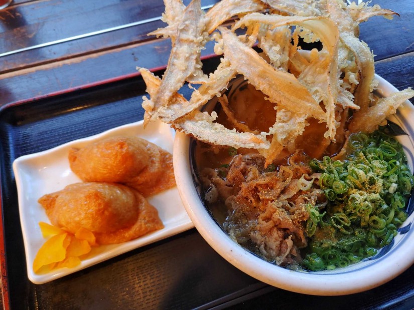 ごぼう天うどん 肉トッピング