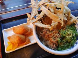 ごぼう天うどん 肉トッピング