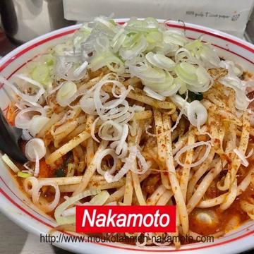 北極の炎 4倍
