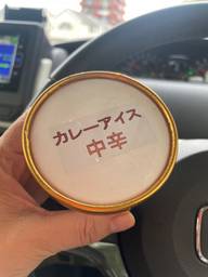 カレーアイス 中辛