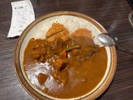 ポークカレー ヒレカツ ハーフやさいトッピング 10辛