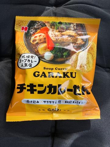 SoupCurryGARAKUチキンカレーせん