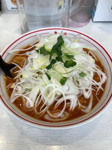 北極の春 10辛
