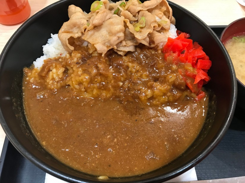 すたみなカレー