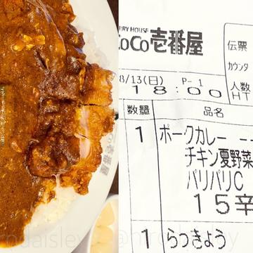 チキンと夏野菜 パリパリチキンカレー 15辛