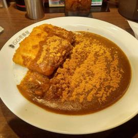 チキンカツカレー 10辛+トビ辛スパイスたくさん